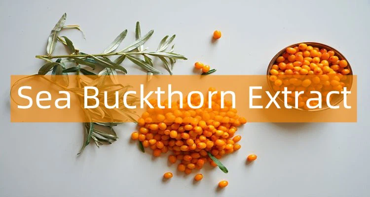 Sea Buckthorn Extract Powder price.png